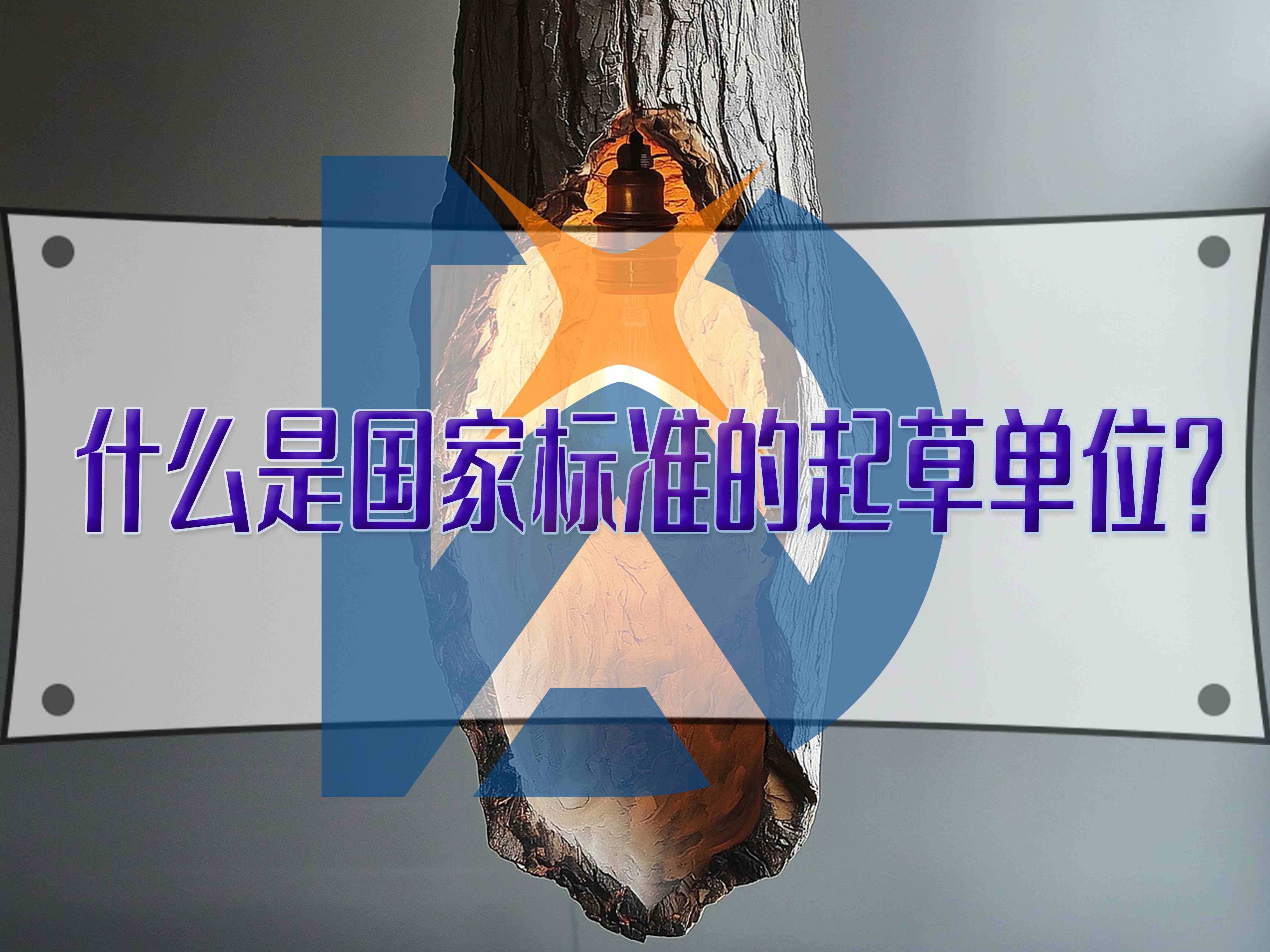 什么是國家標準的起草單位？