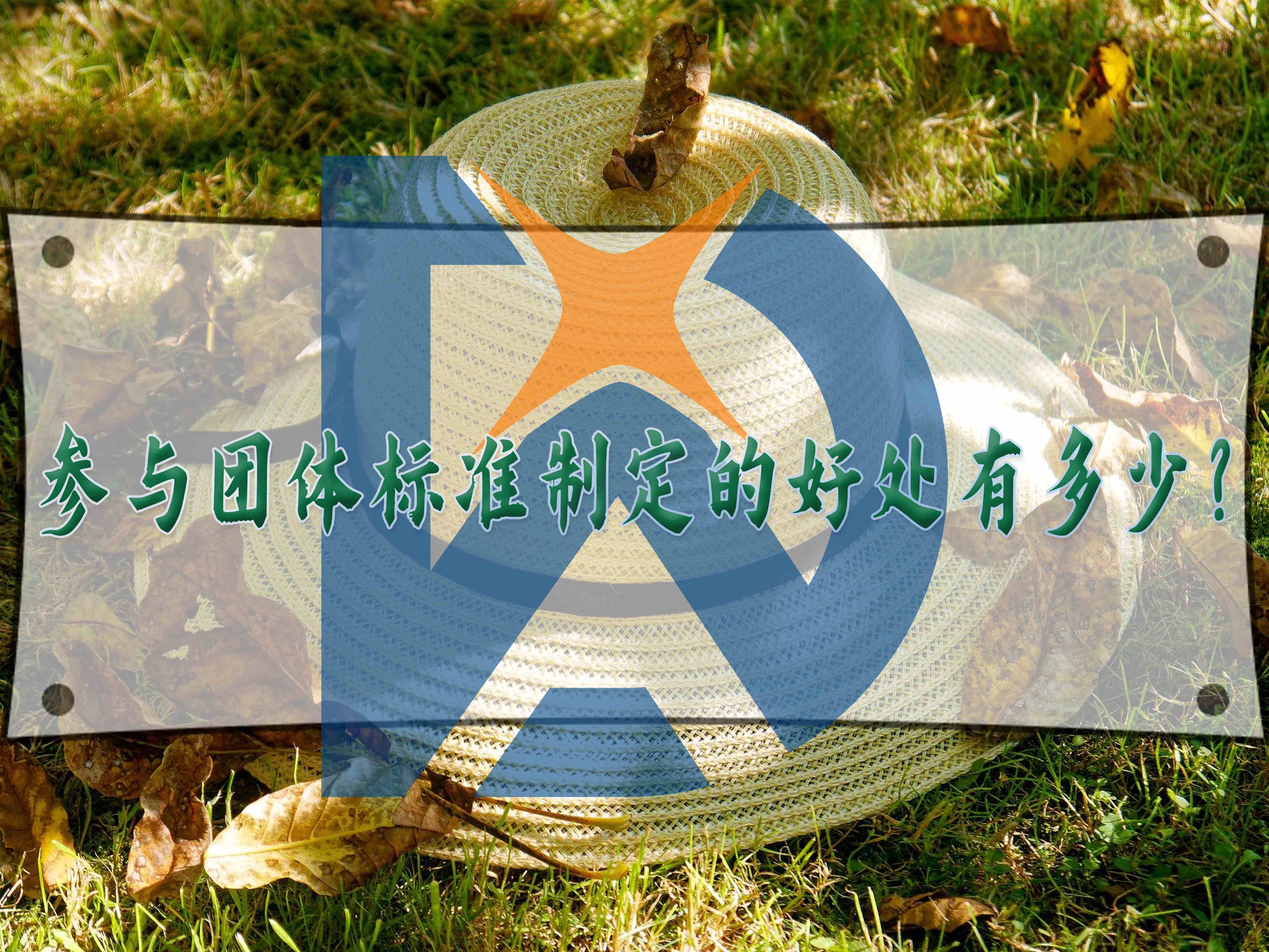 參與團體標準制定的好處有多少？