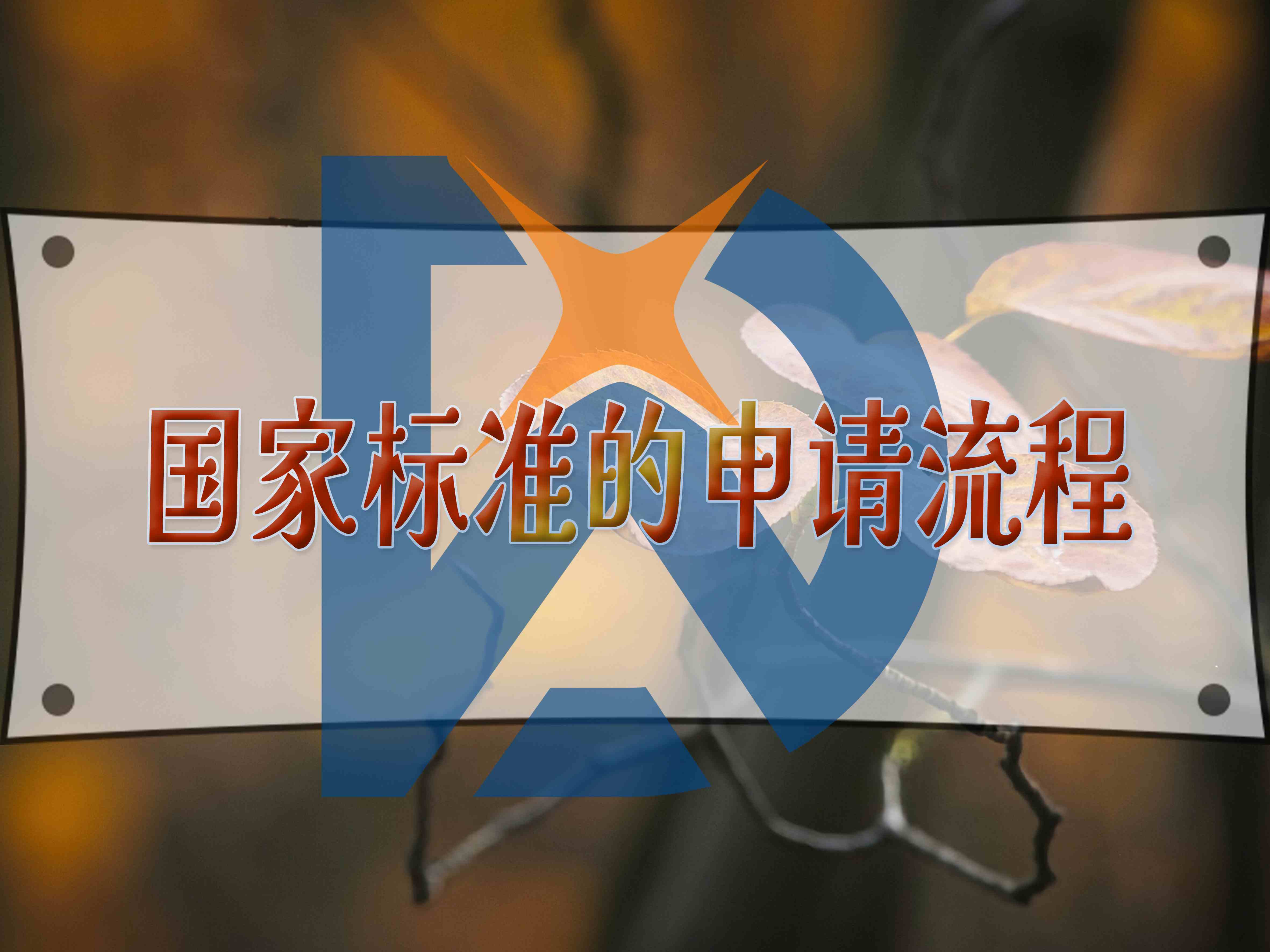國家標準的申請步驟