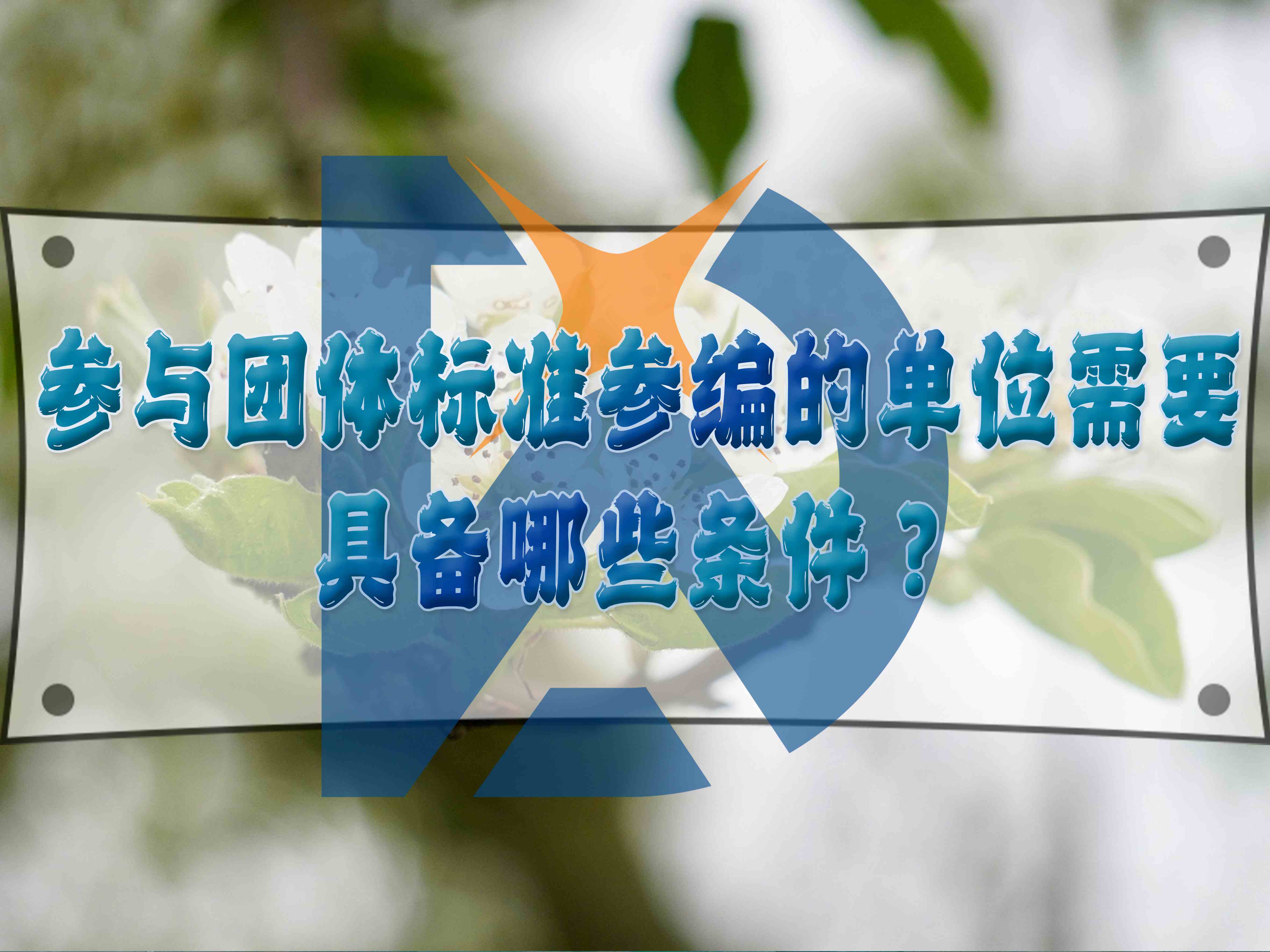 參與團體標(biāo)準(zhǔn)參編的單位需要具備哪些條件？