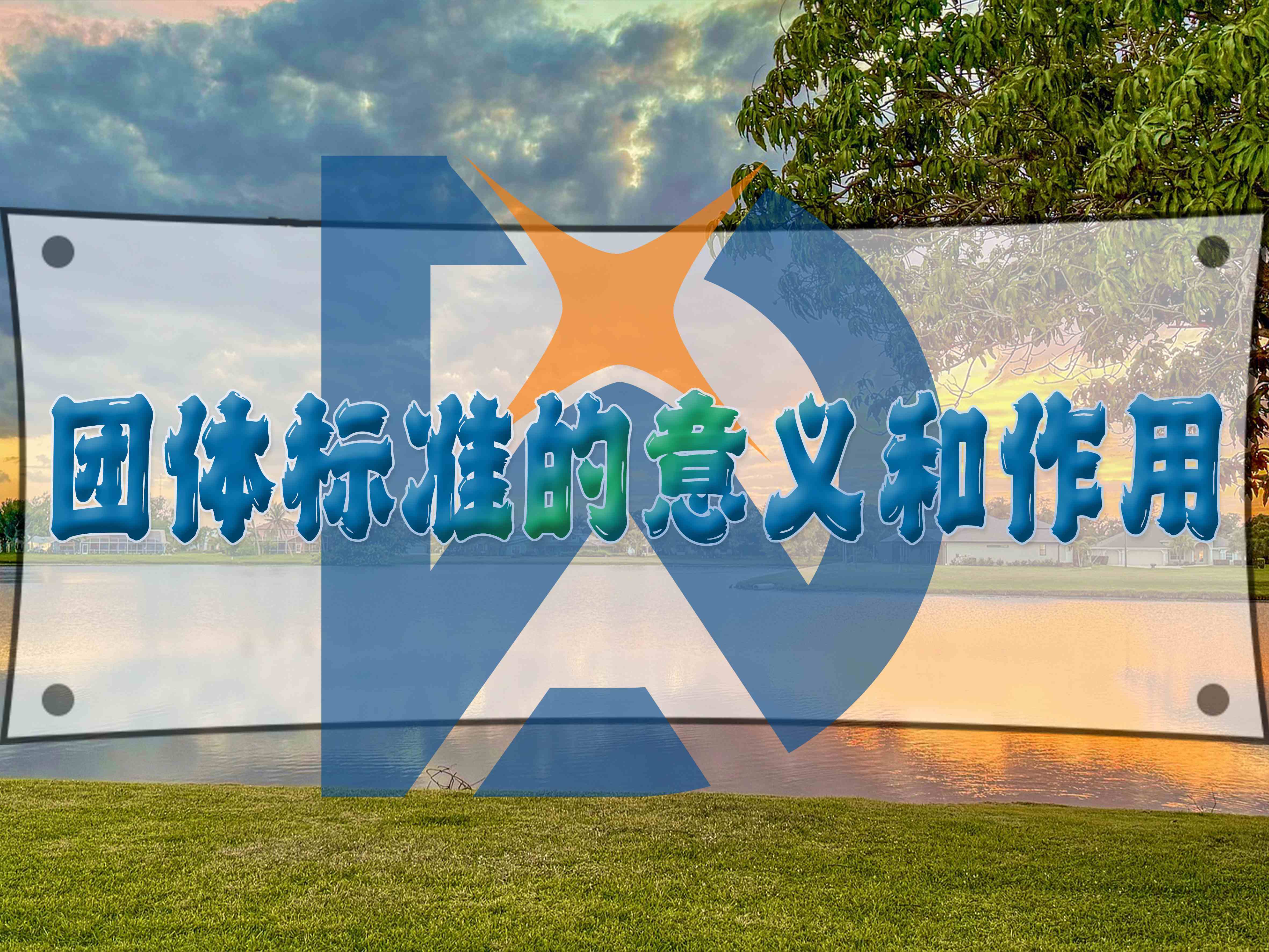 團體標準的意義和作用