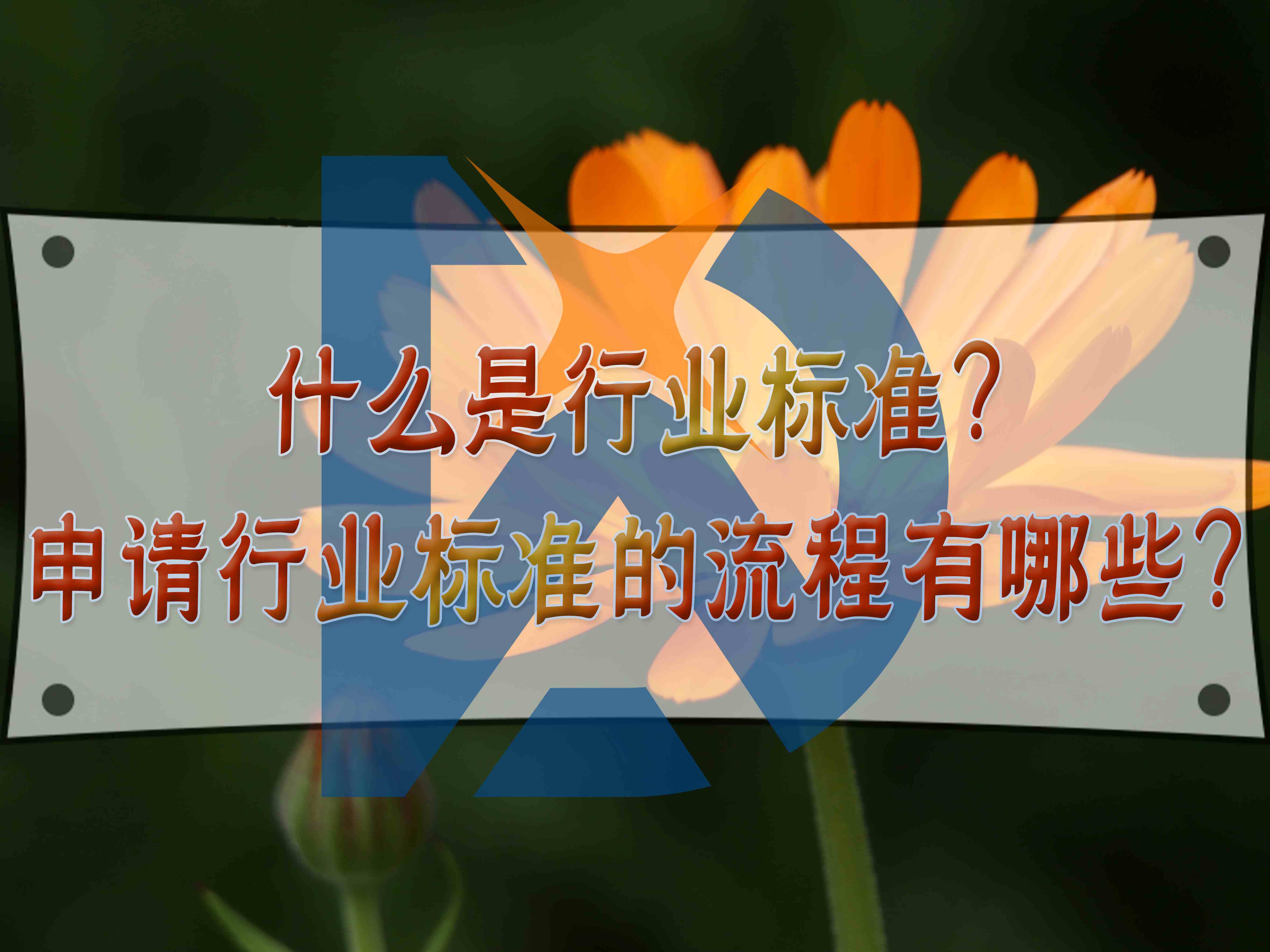 什么是行業標準？申請行業標準的流程有哪些？