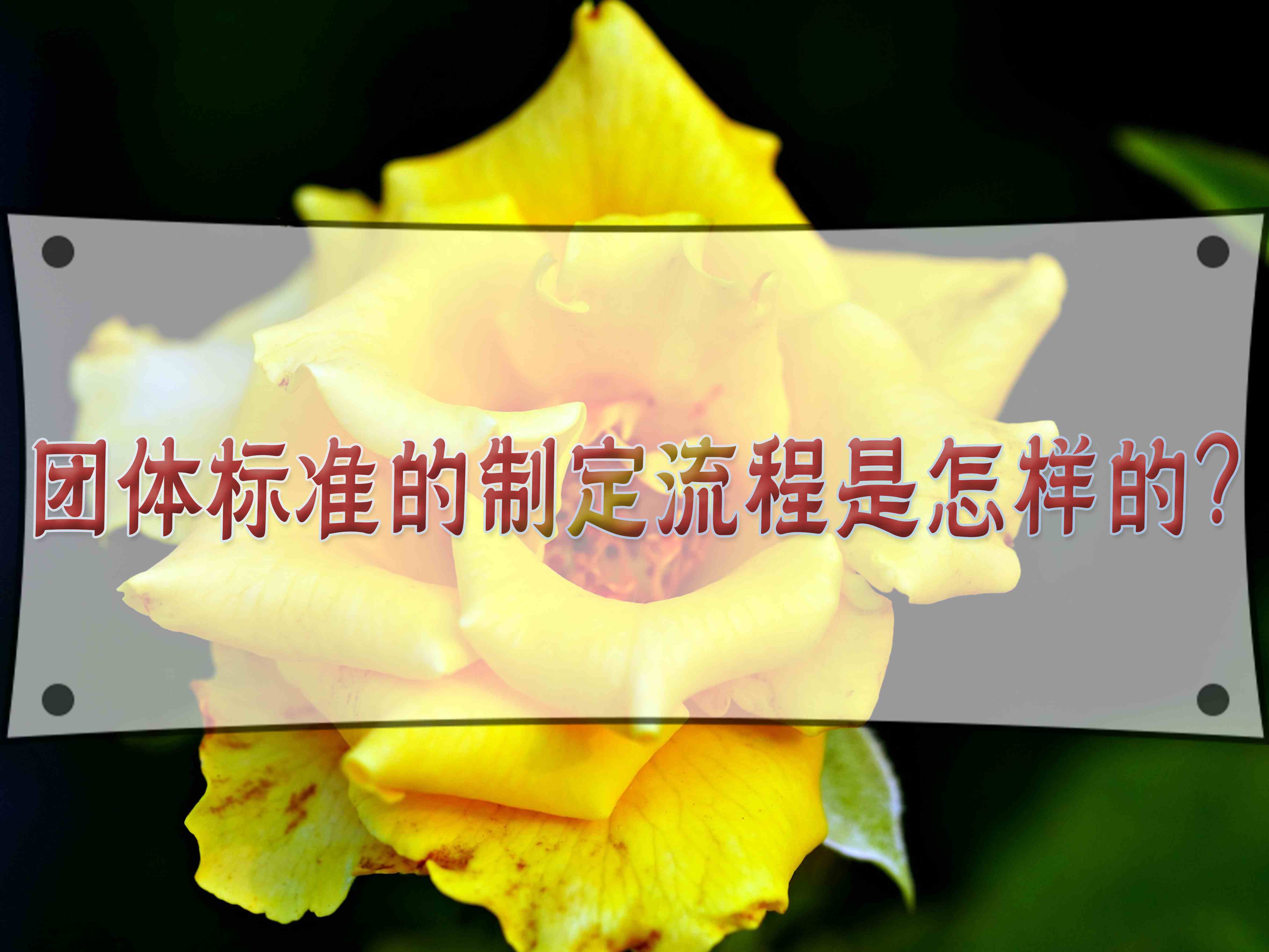 團體標準的制定流程是怎樣的？